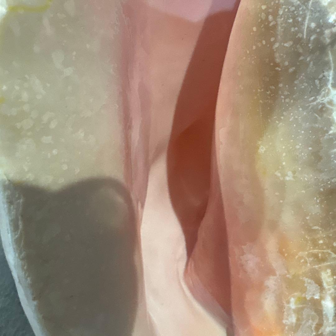 コンク貝　ピンク貝　オブジェ　法螺貝　貝殻　ほら貝　ピンク