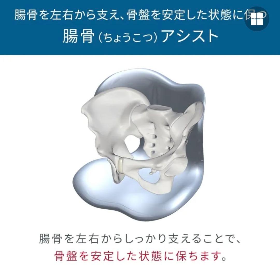 MTG スタイルスマート　StyleSMART 骨盤椅子