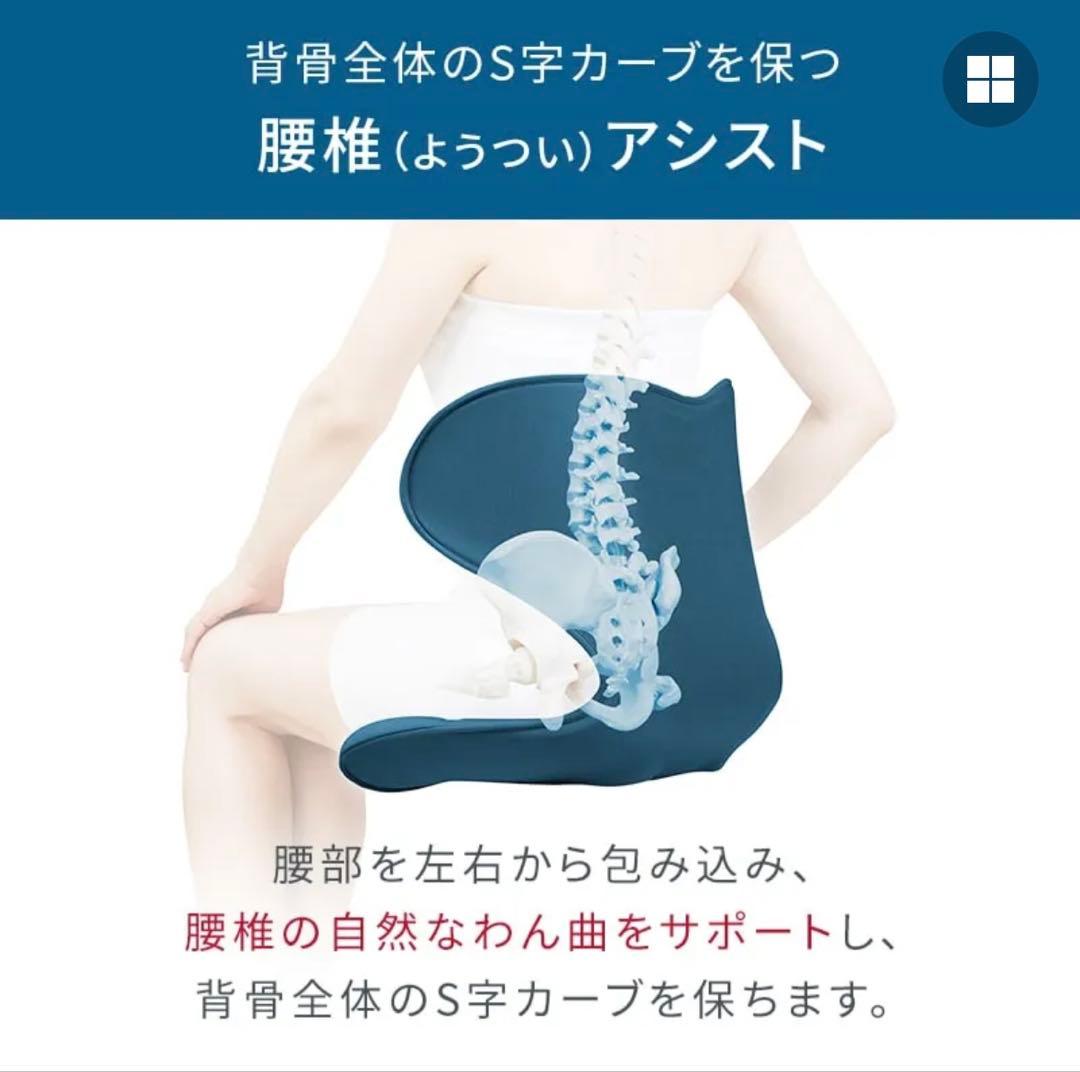 MTG スタイルスマート　StyleSMART 骨盤椅子