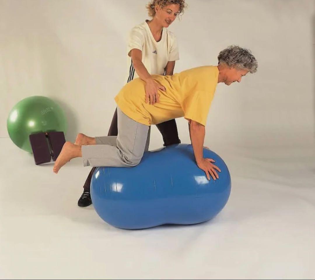 ギムニク(GYMNIC) フィジオロール イタリア製 青 70㎝ ピーナッツ型