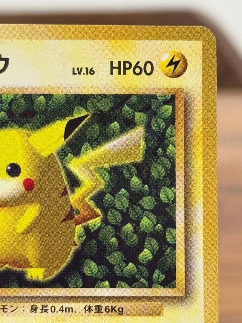 ピカチュウ 旧裏 すぐわかるポケモンカードの遊び方 光沢なし lvy 蔦