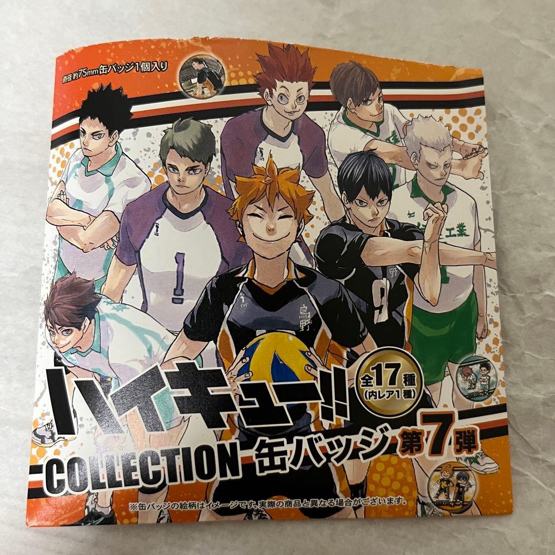 ハイキュー!! コレクション缶バッジ 及川徹(SD)&岩泉一(SD) ミニキャラ