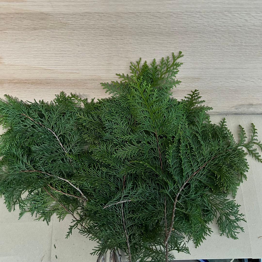 am☆さま専用 超特大一対90cm 門松 ハンドメイド 自然栽培