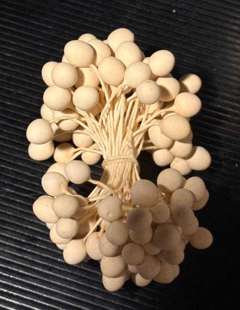 大玉ペップ　実用ペップ　1束