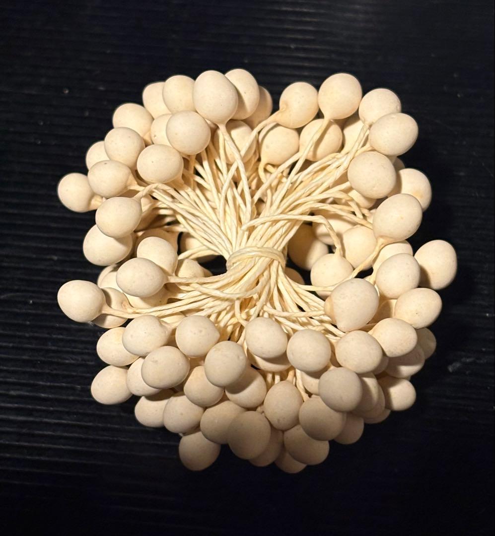 大玉ペップ　実用ペップ　1束