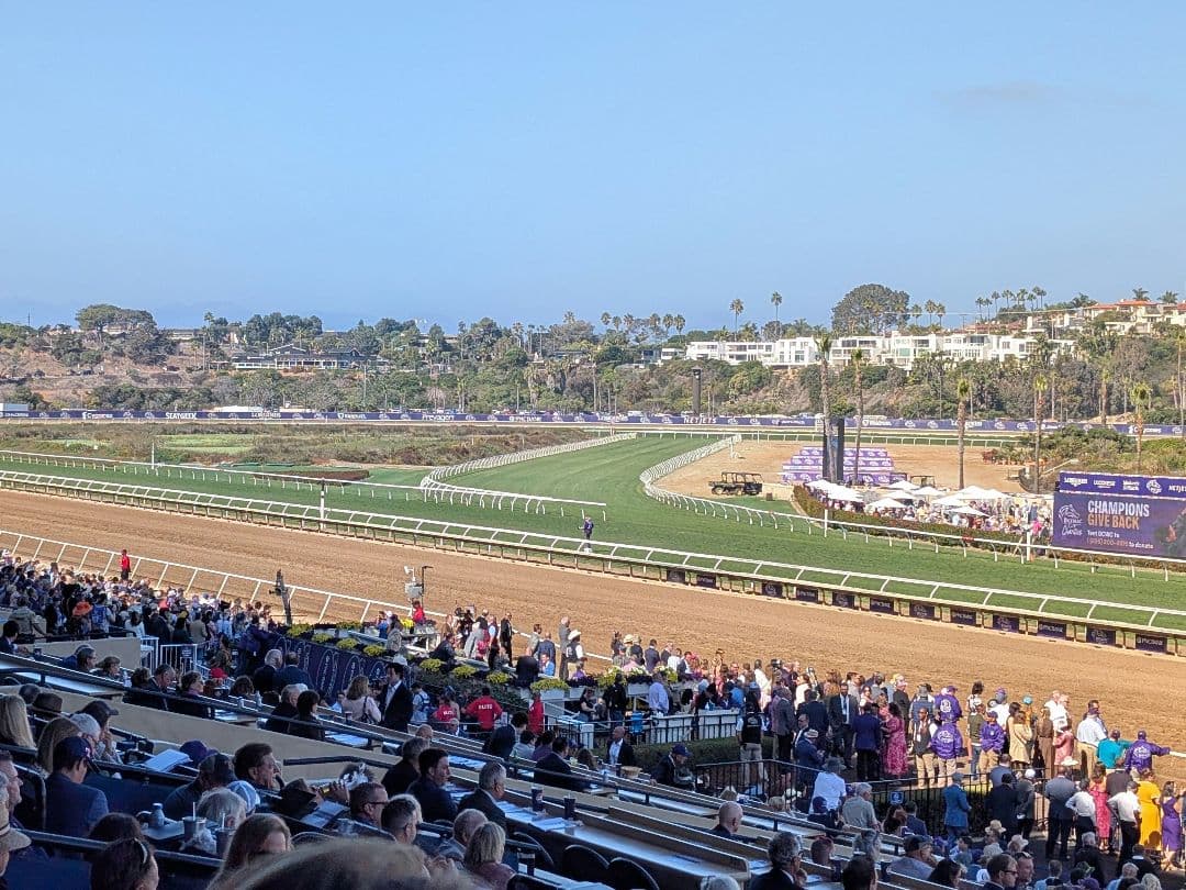 フォーエバーヤング BCクラシック2025 単勝馬券 - メルカリ