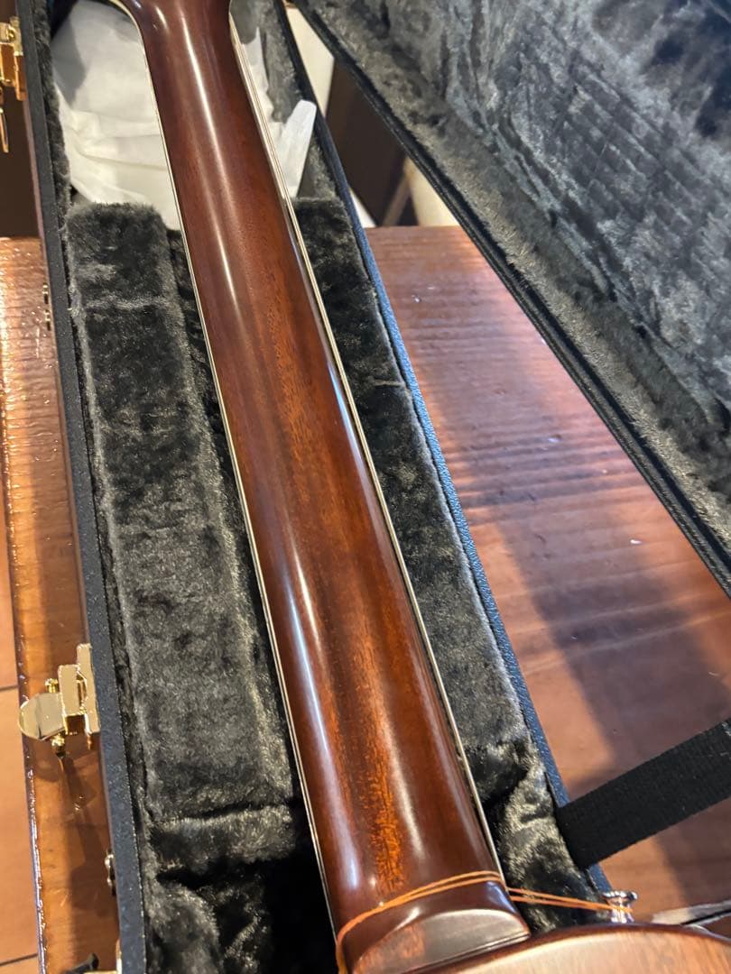 どん。zemaitis カスタムショップ　CS24MF メタルフロント