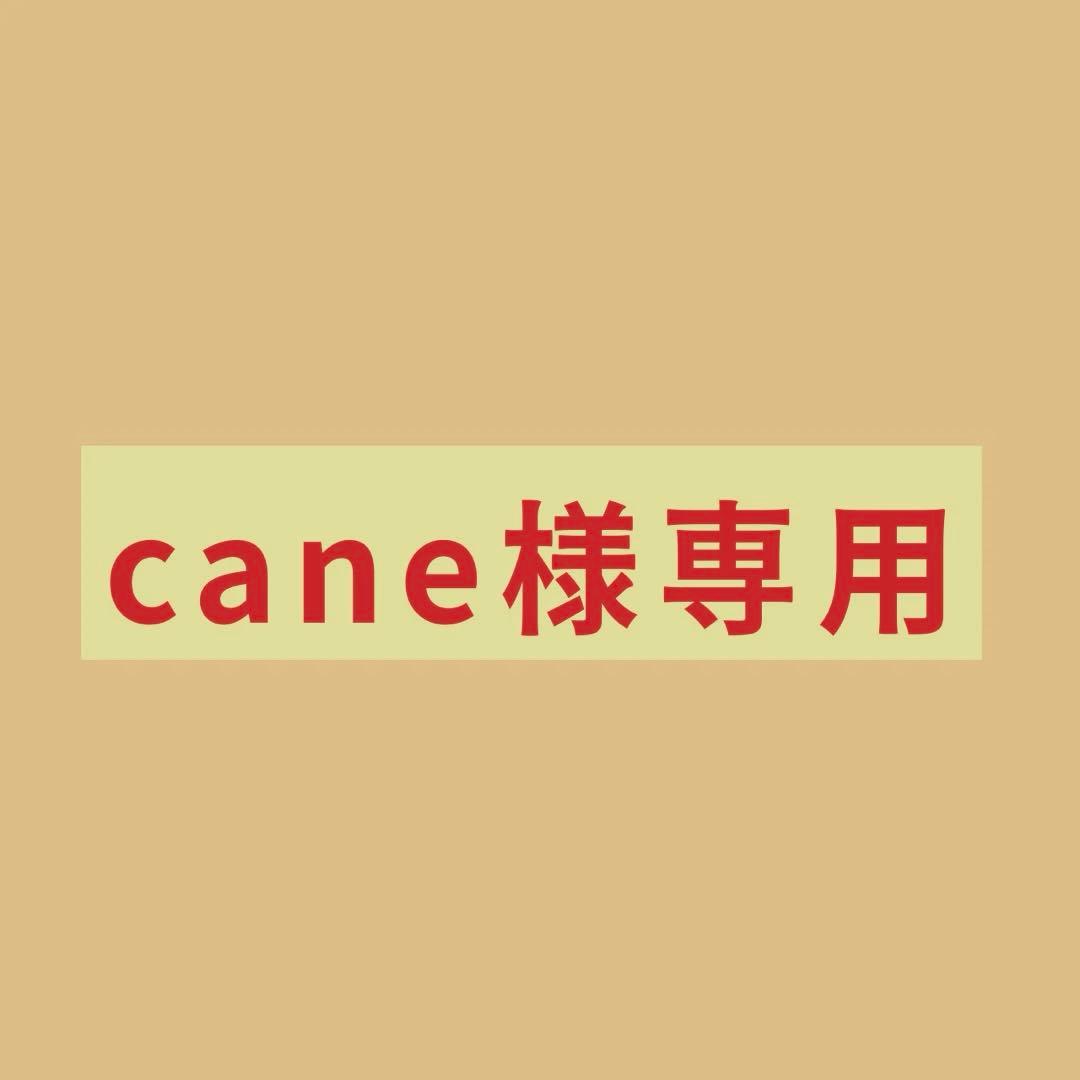 その他 cane