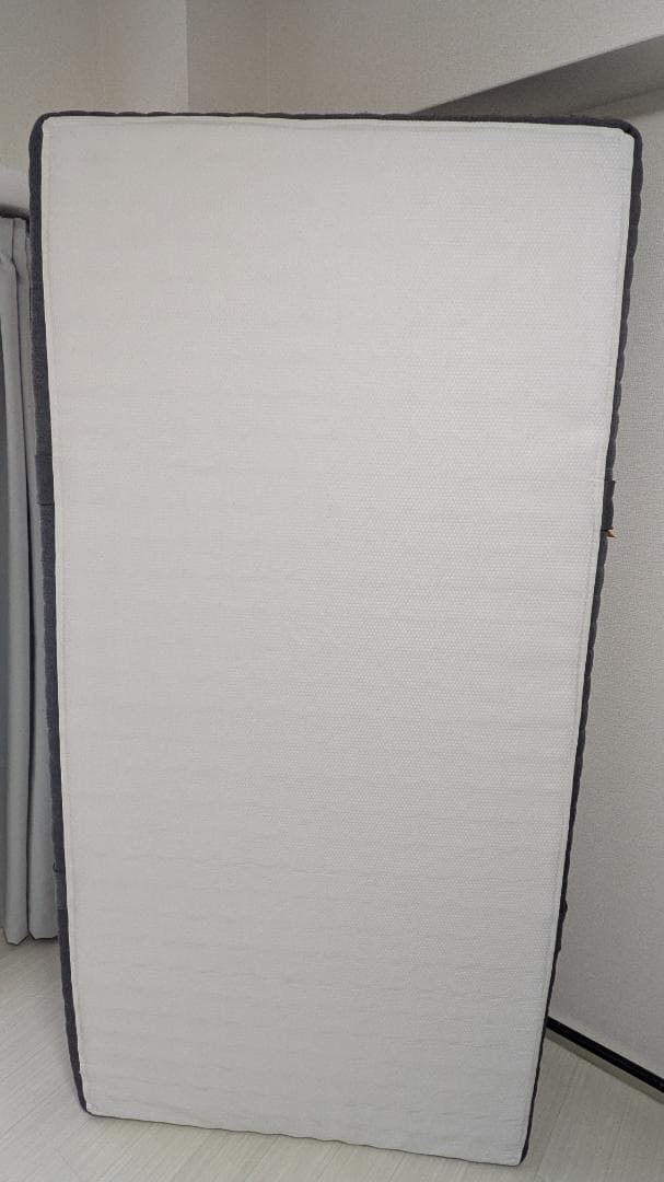 シングル【エマ・ハイブリッド V2】大阪市内での受渡し可