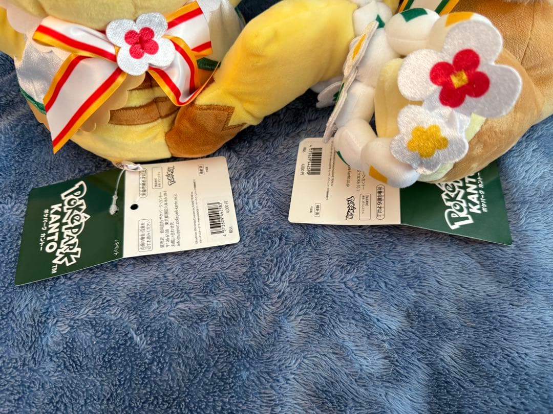 ポケモン ポケパーク カントー 限定 イーブイ ピカチュウ パペット