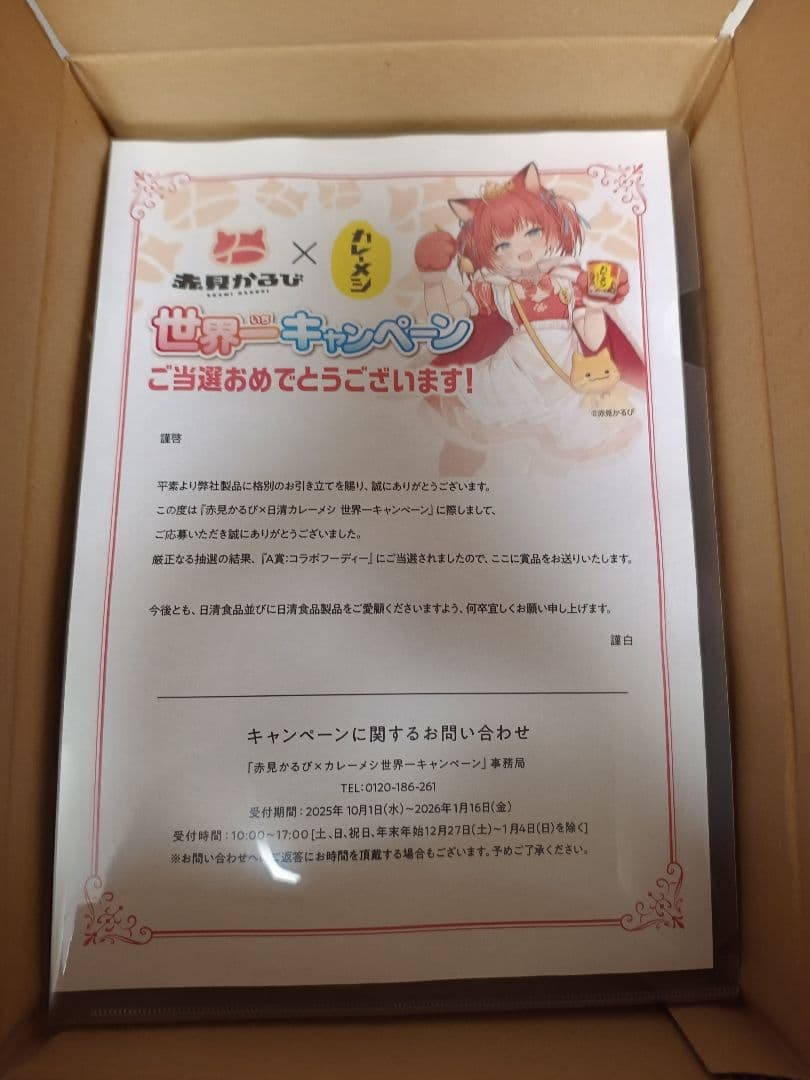 赤見かるび　コラボフーディー　コラボ　フード付きパーカー　日清　カレーメシ