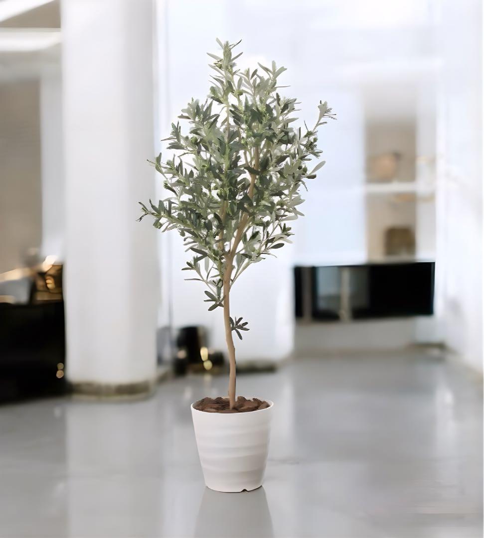 光触媒　人工観葉植物　フェイクグリーン　オリーブツリー 高さ 1.6m