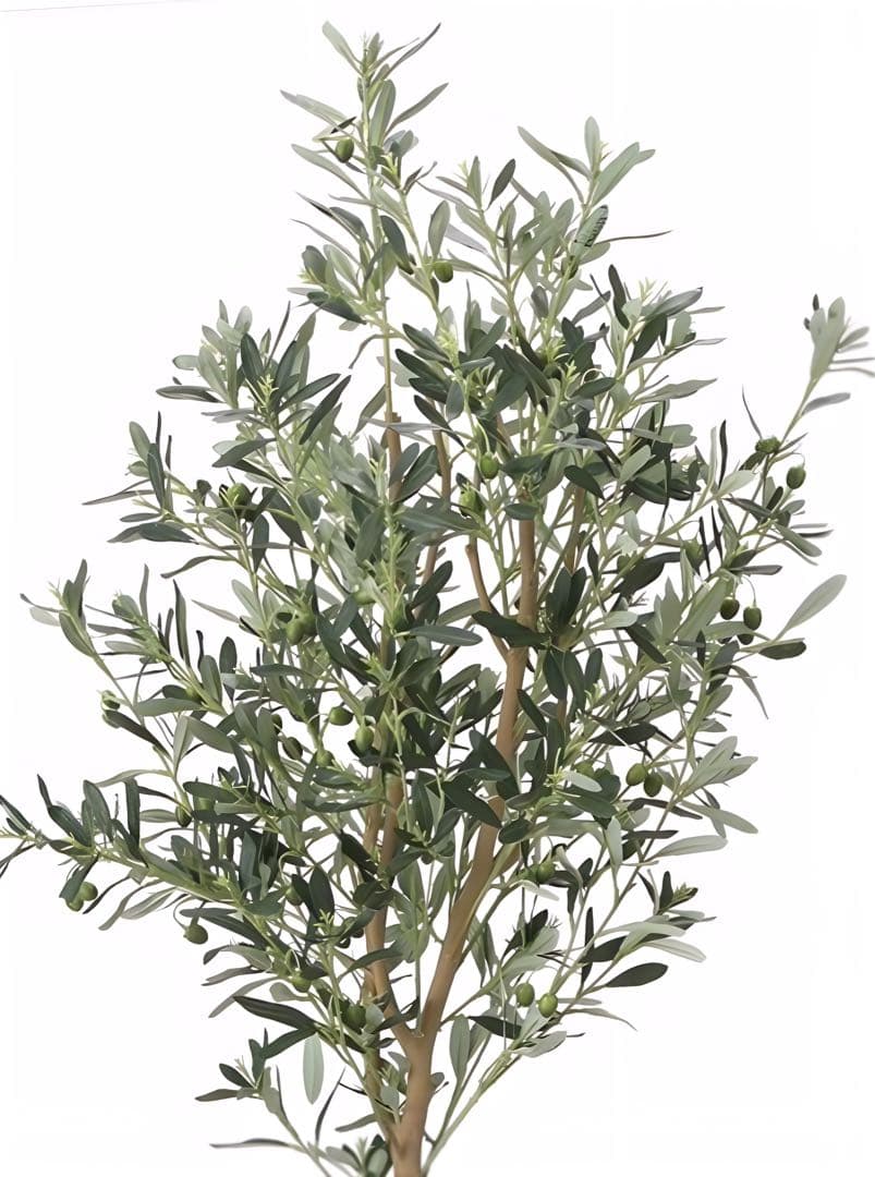 光触媒　人工観葉植物　フェイクグリーン　オリーブツリー 高さ 1.6m