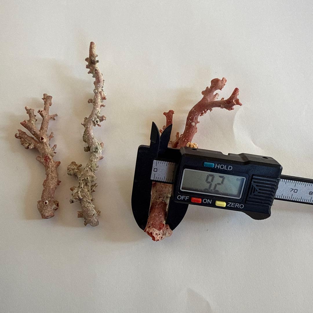 天然珊瑚枝　30.2g