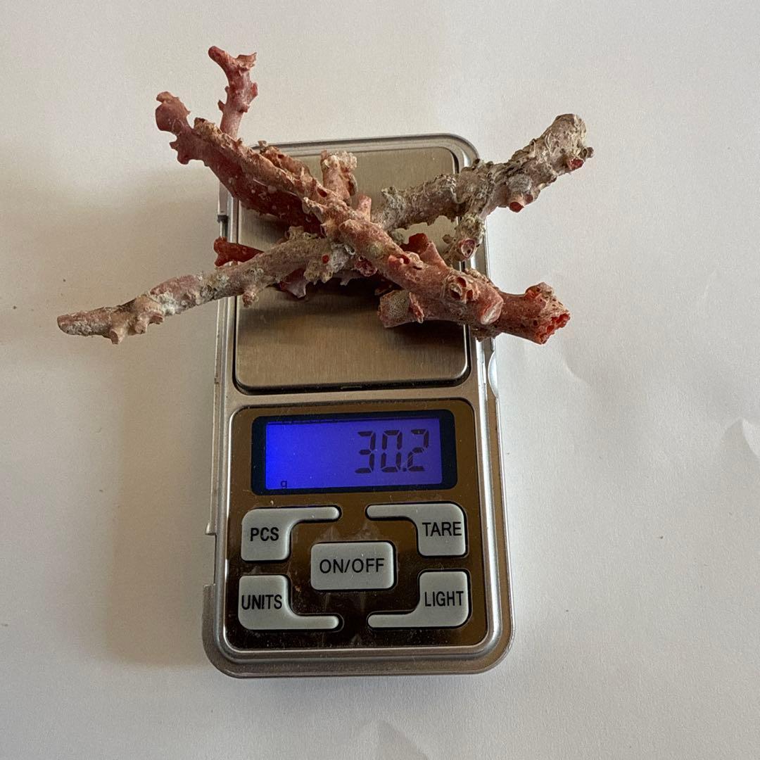 天然珊瑚枝　30.2g
