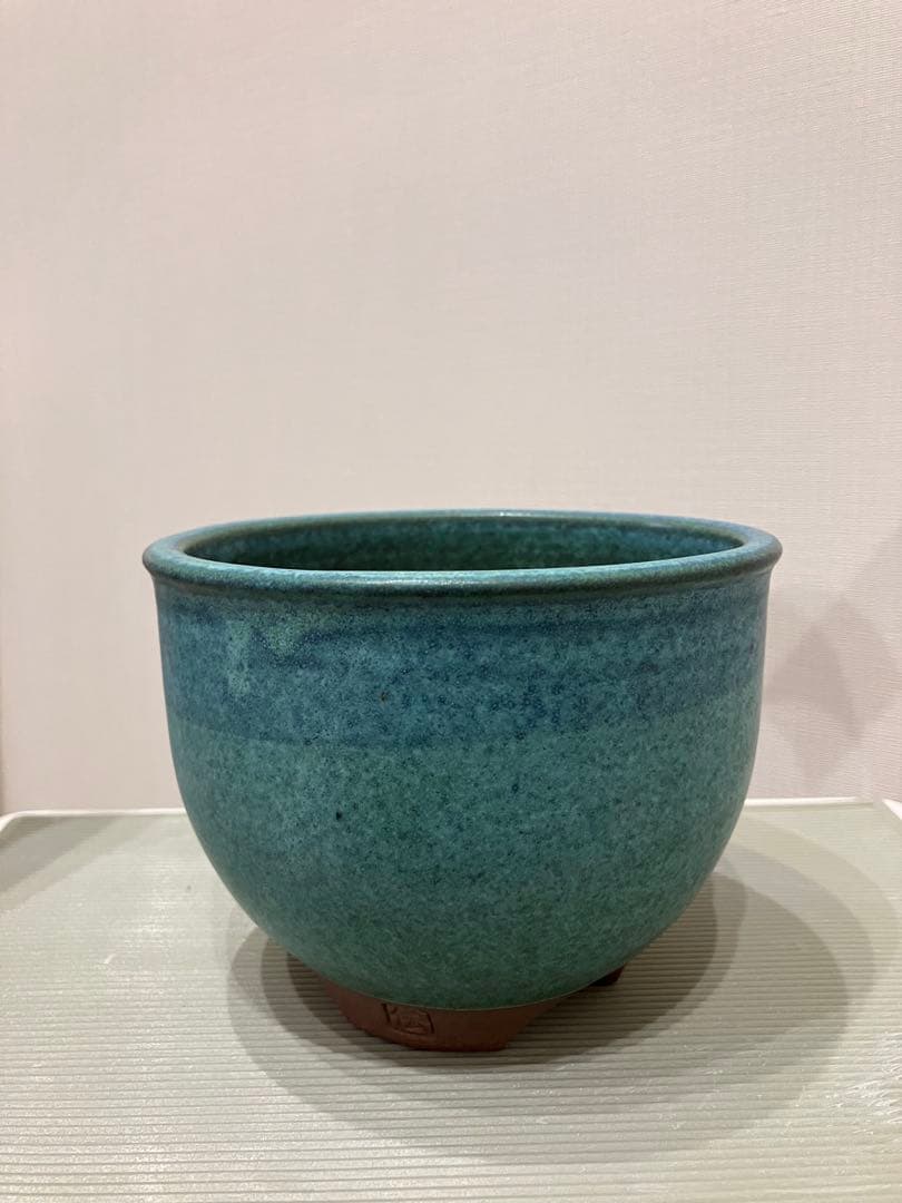 新品!!3個セット 伝市鉢 4号 黒化粧 (アガベ パキポディウム 塊根 作家鉢