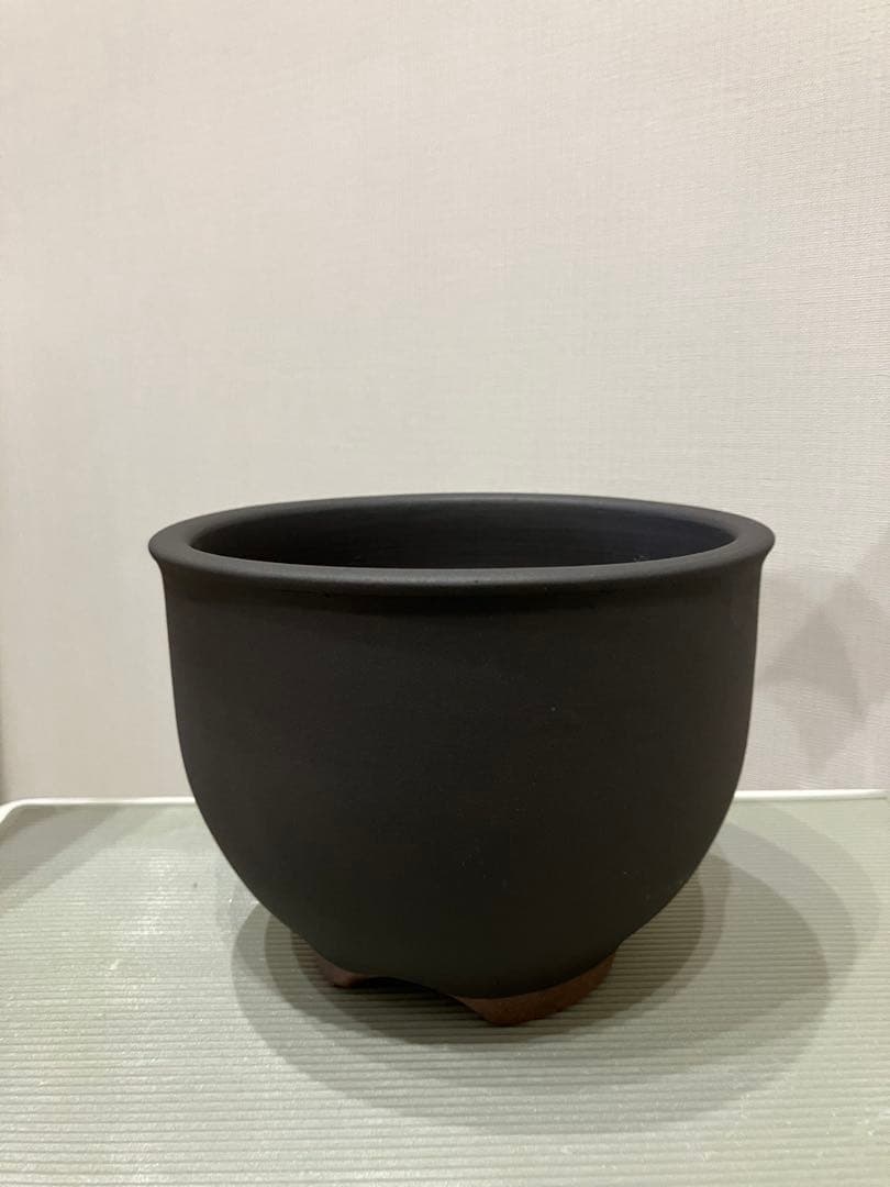 新品!!3個セット 伝市鉢 4号 黒化粧 (アガベ パキポディウム 塊根 作家鉢