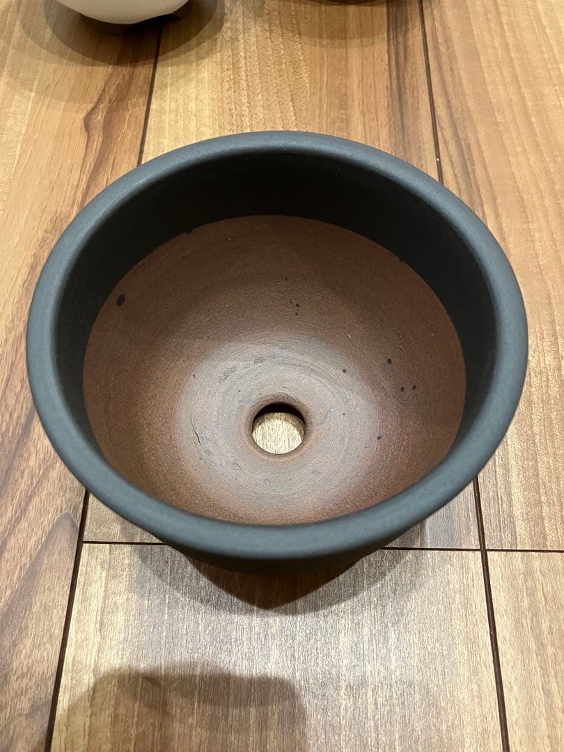 新品!!3個セット 伝市鉢 4号 黒化粧 (アガベ パキポディウム 塊根 作家鉢