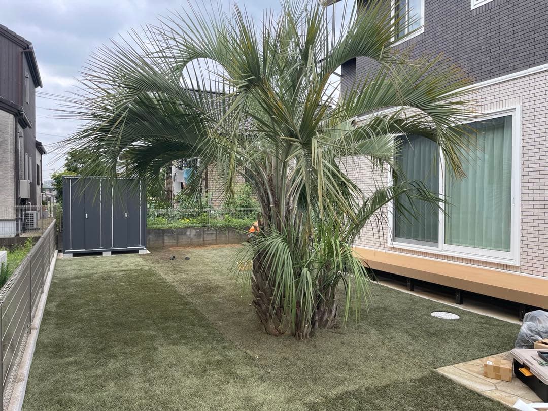 お買い得！高品質！リユース人工芝　1.8m✖︎10m 18平米 5坪サイズ