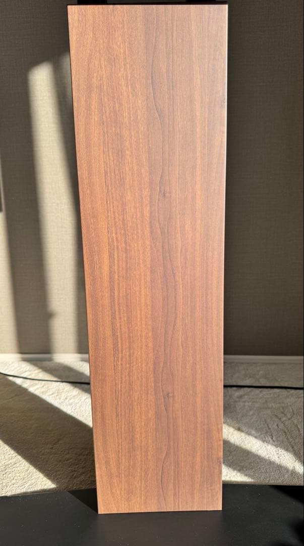 M*I様 【美品】WALL V3 ハイタイプ SW (首振りタイプ) 2025年