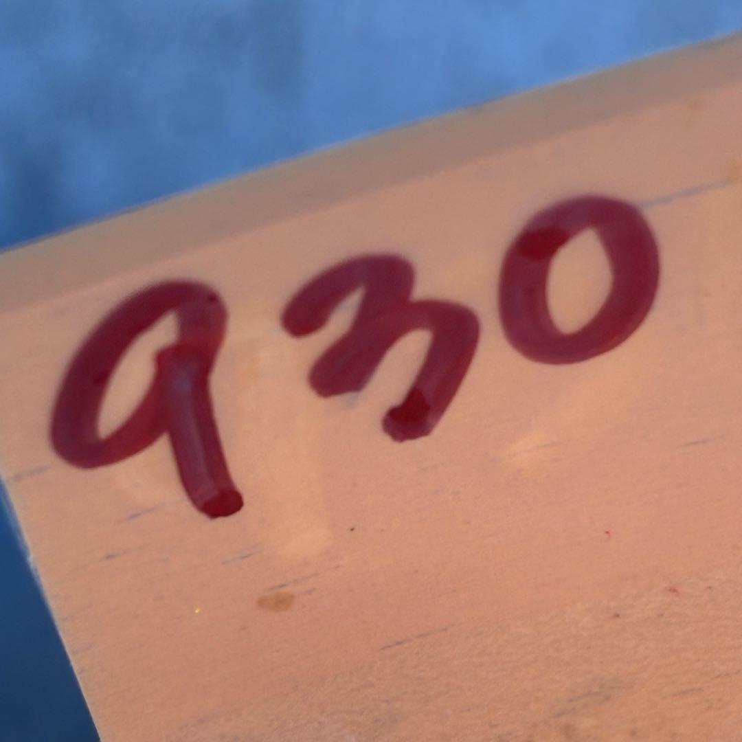 よ*ん様 ❤️開花株❤️BRIAR ROSE同一交配930Ash【ASHWOOD