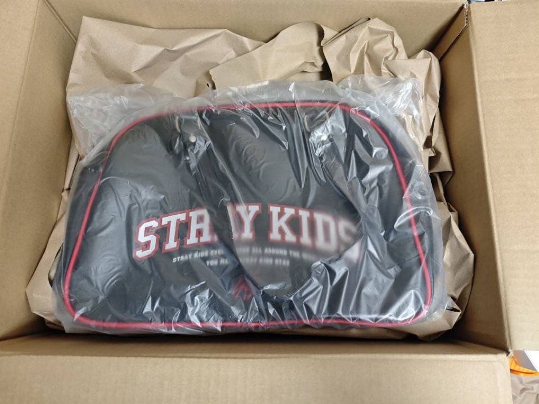 Stray Kids スキズ dominATE ボストンバッグ エナメルバッグ - メルカリ