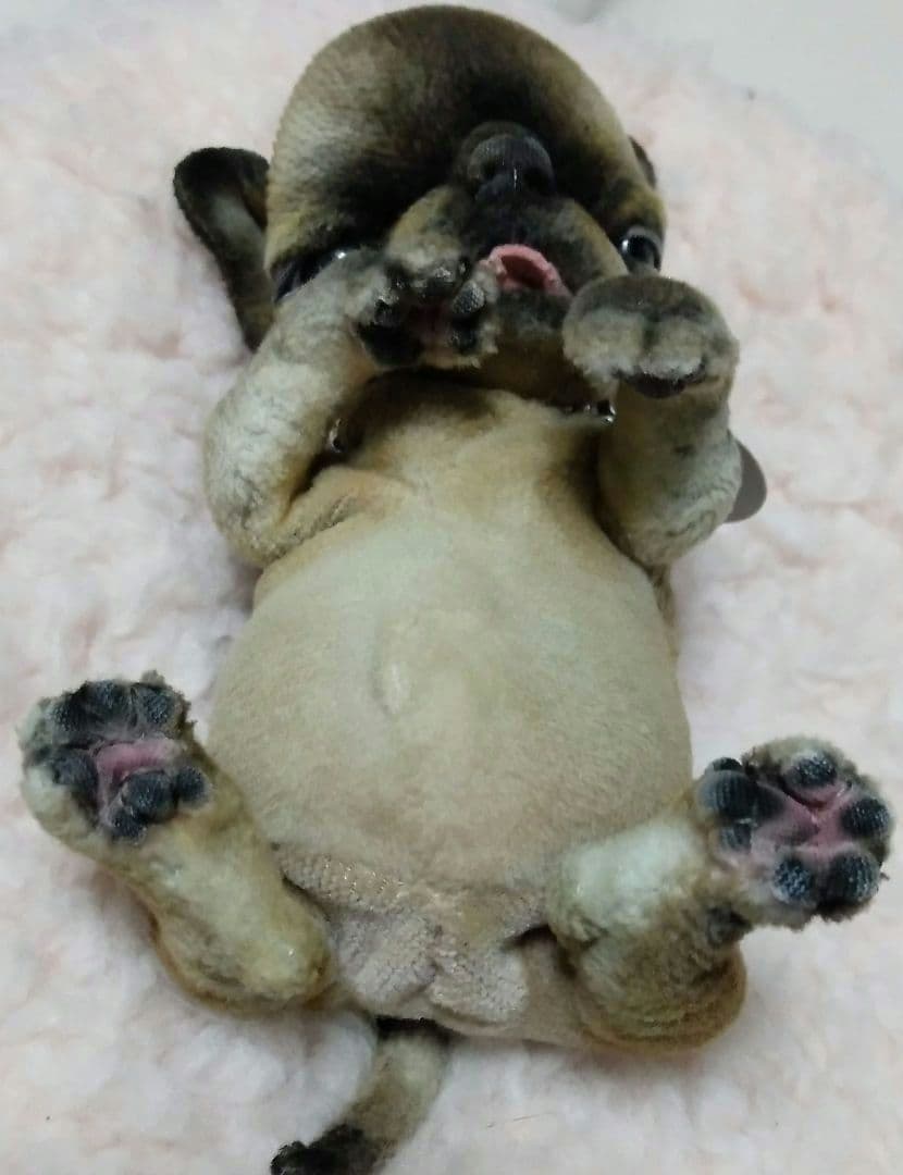 国内作家　アートドール　ぬいぐるみ　テディベア　アーティストベア　チワワ