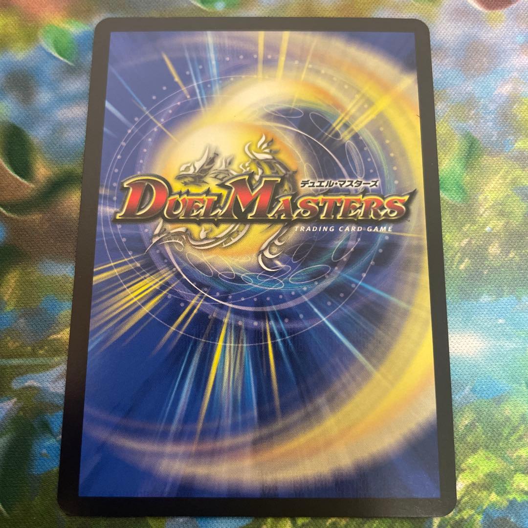 水上第九院　シャコガイル　b