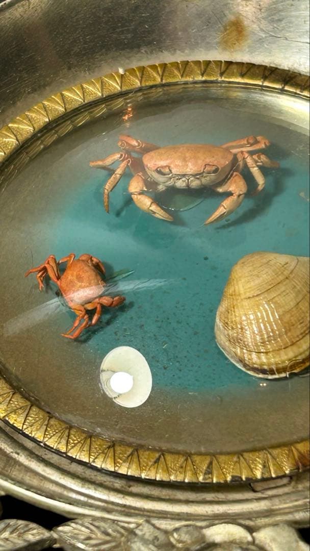 戦後の占領下での日本製　カニと貝を配したのお洒落な灰皿【希少品】＜25b12＞