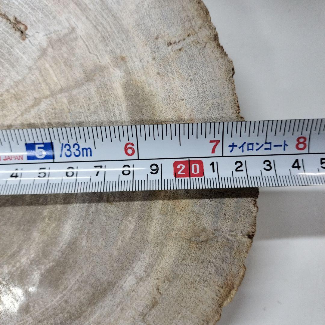 ペトリファイドウッド　プレート　 約2.5cm　⑤