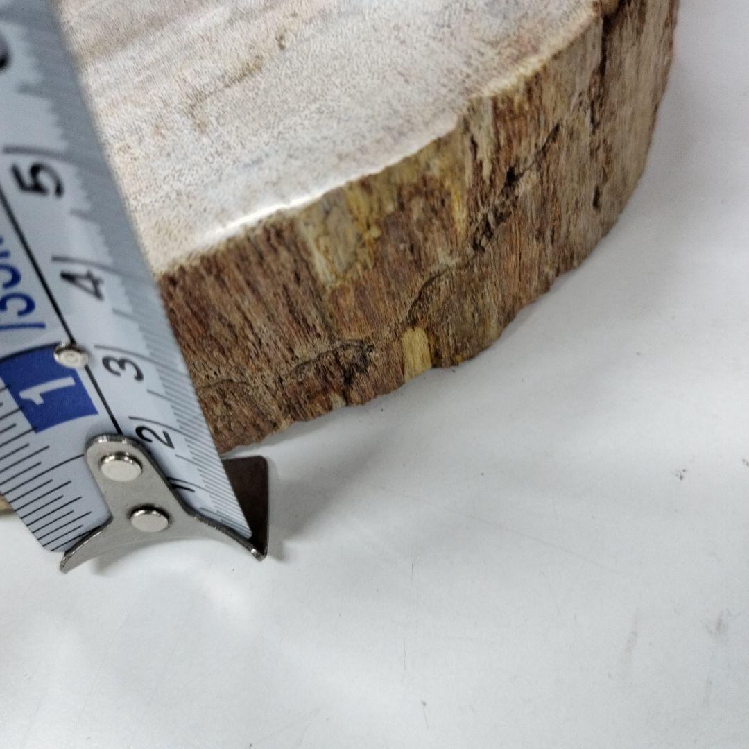 ペトリファイドウッド　プレート　 約2.5cm　⑤