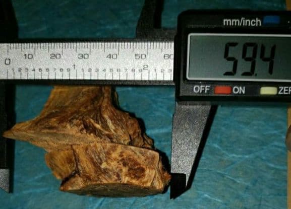 56 伽羅、六国五味、聞香、香木、沈香「天然ブルー白檀根瘤41,1g」