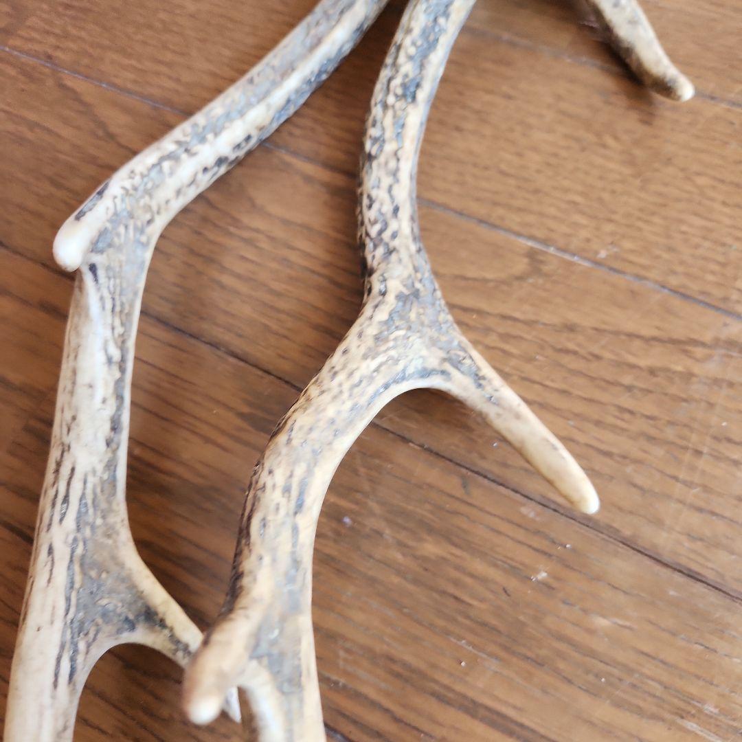鹿の角 インテリア小物 自然な形状
