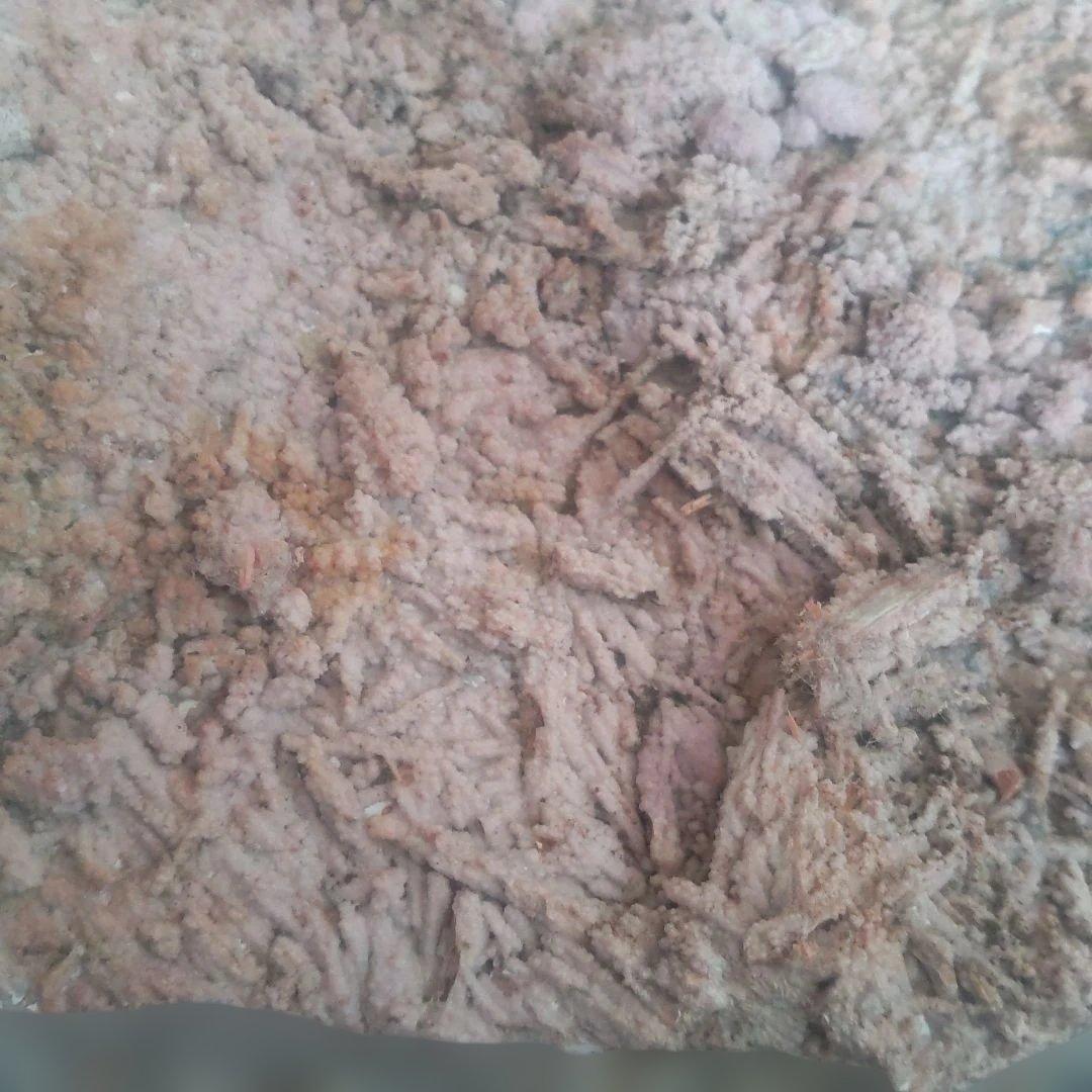 専用　深浦　「我妻錦石」管理No.71106