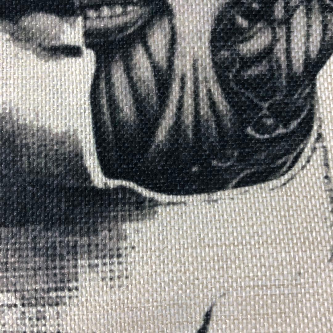 フォルナセッティー脳頭　両面プリント　45サイズ