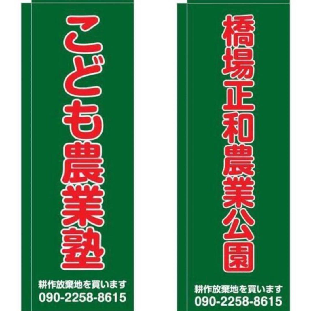 トルコ雑貨【アヴァノス陶器　壁掛け時計　カラフル】