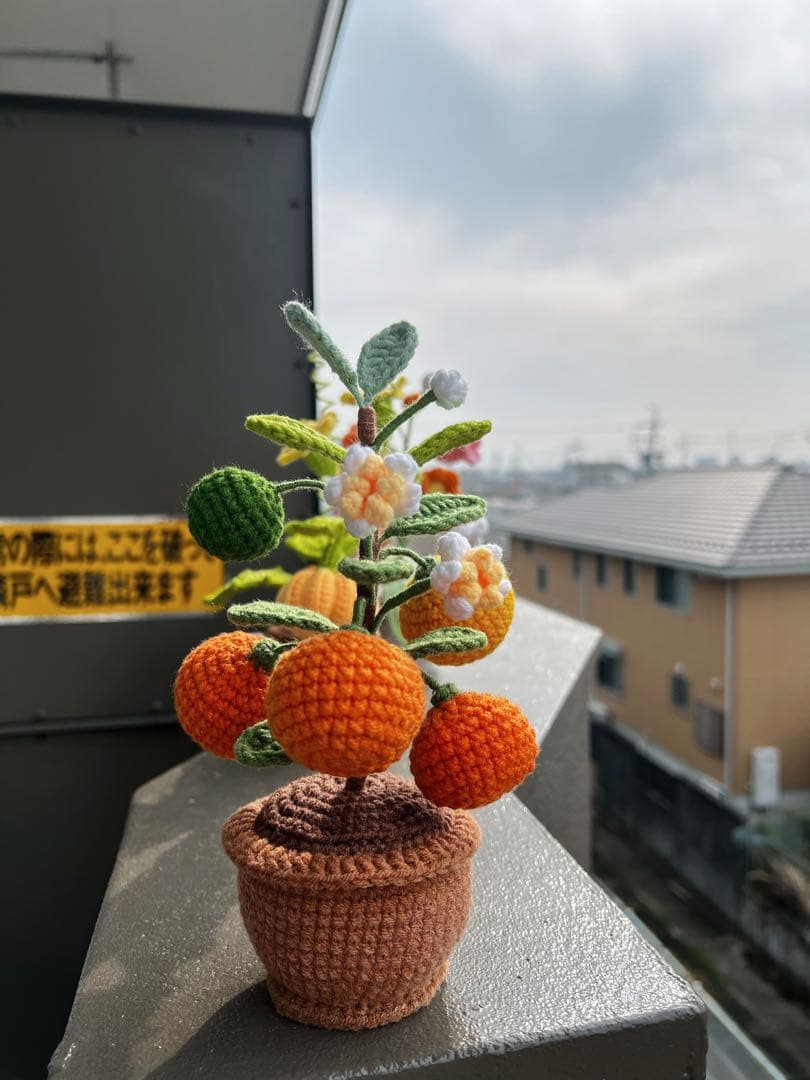 jun♪プロフ必読様専用ページ」 - メルカリ