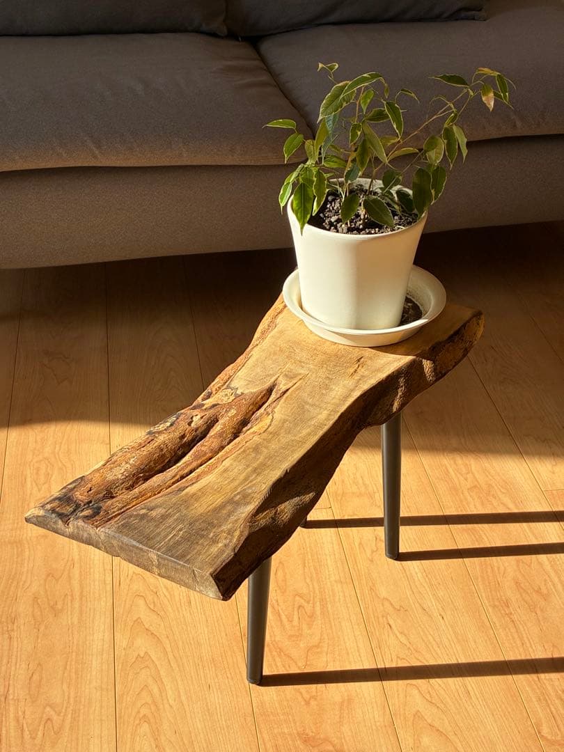 【希少】国産 黒柿（くろがき）無垢一枚板 サイドテーブル（訳あり）