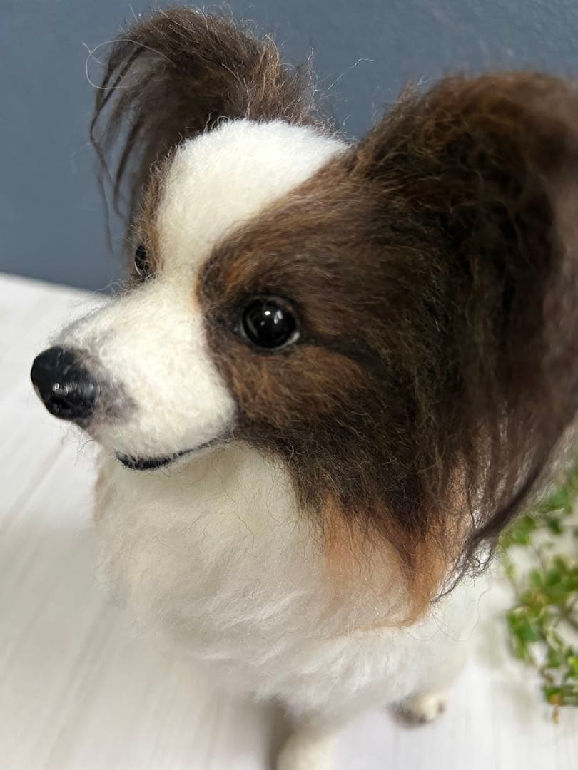羊毛フェルト　オーダー　パピヨン
