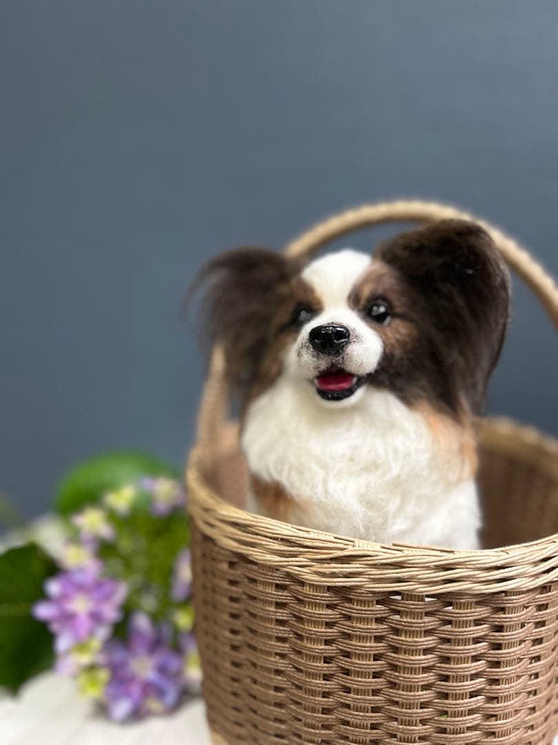 羊毛フェルト　オーダー　パピヨン