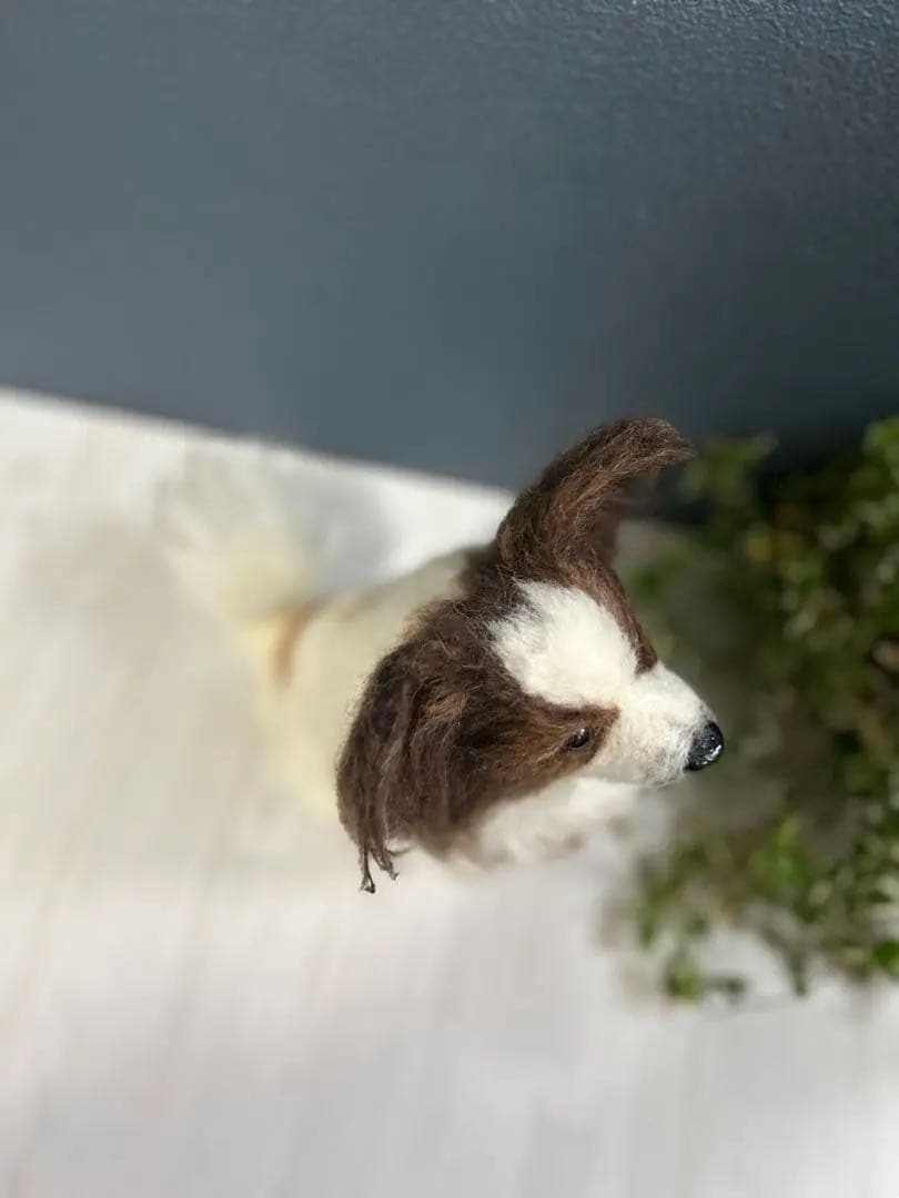 羊毛フェルト　オーダー　パピヨン