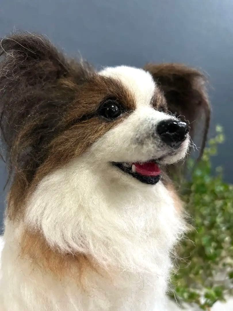 羊毛フェルト　オーダー　パピヨン