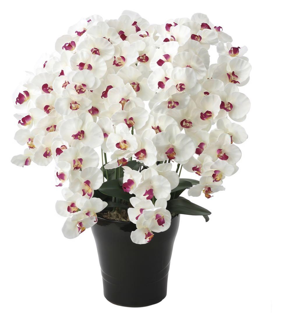 光触媒 人工観葉植物 フェイクグリーン プレミアム胡蝶蘭7本立W/AB