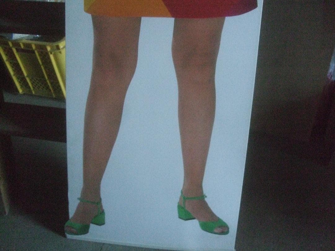 フジカラー☆昔の観月ありさ等身大 - メルカリ