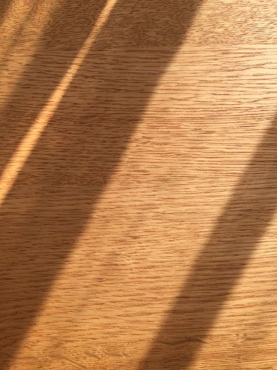 ACTUS オークランド テレビボード