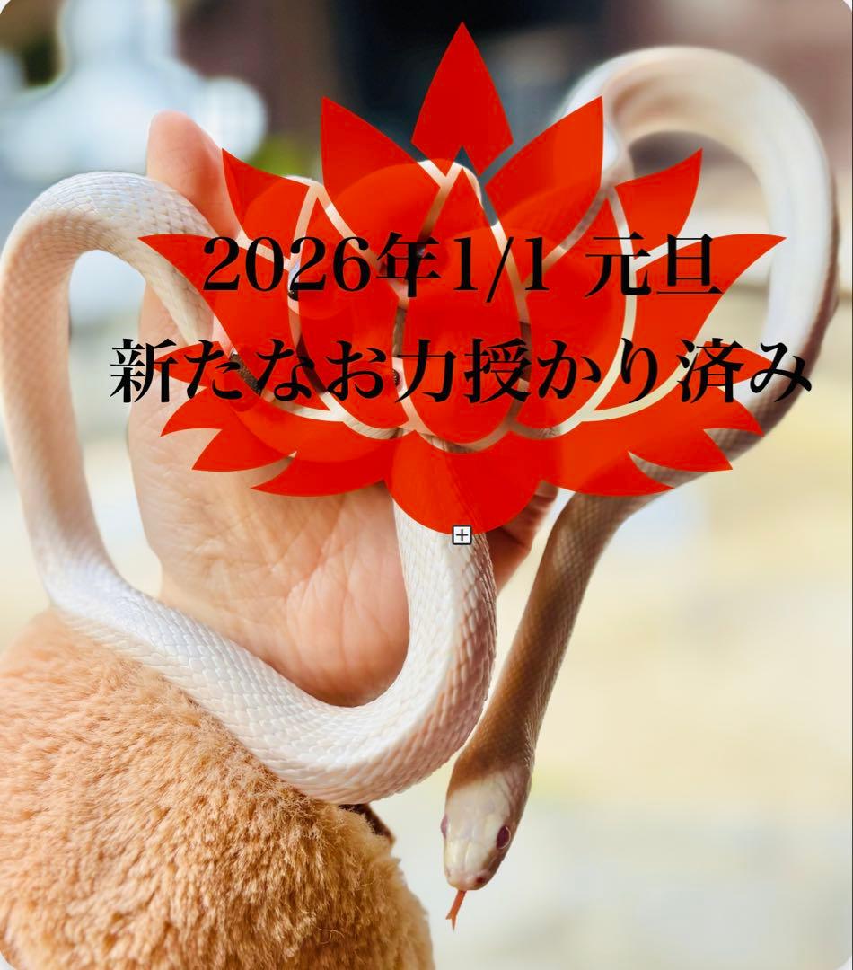 感謝価格︎希少︎龍神が宿る龍穴ネイティブアメリカンの守り︎ソーラー