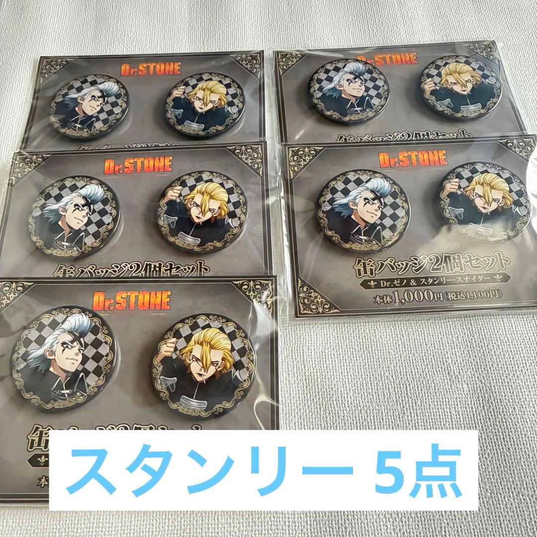 Dr.STONE ファミリーマート 缶バッジ チェス ゼノ5点