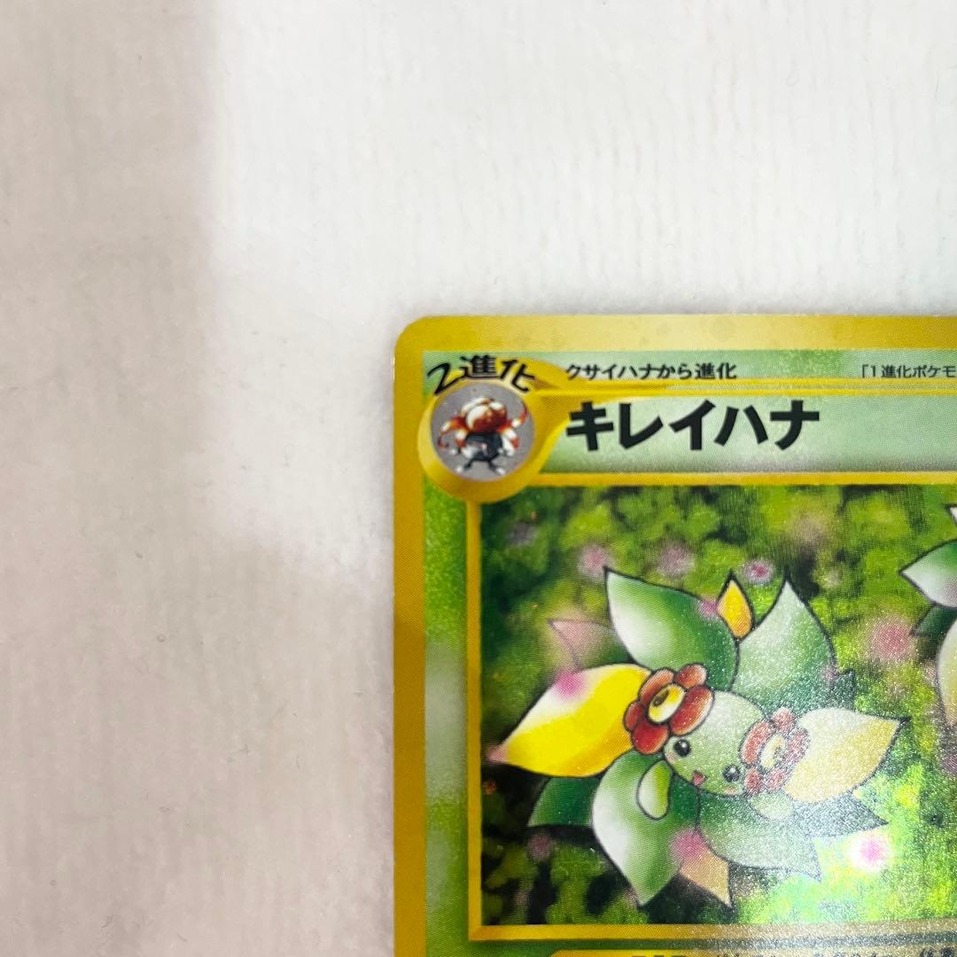 旧裏 キレイハナ ☆ 拡張パック第1弾 金、銀、新世界へ… - メルカリ