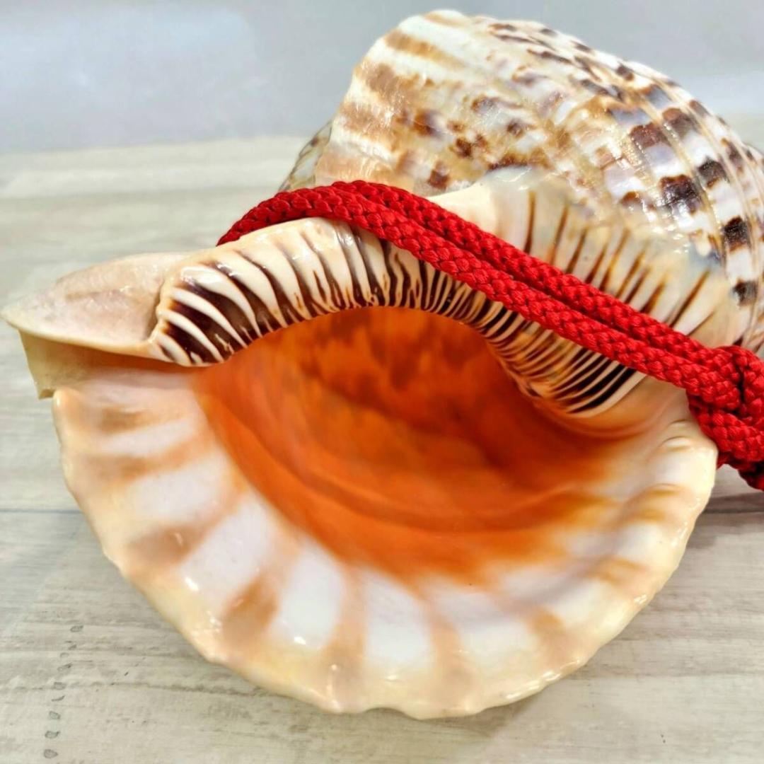 法螺貝 ホラ貝 約38cm 重量1276g(紐込) 山伏 修験道 魔除け 現状品