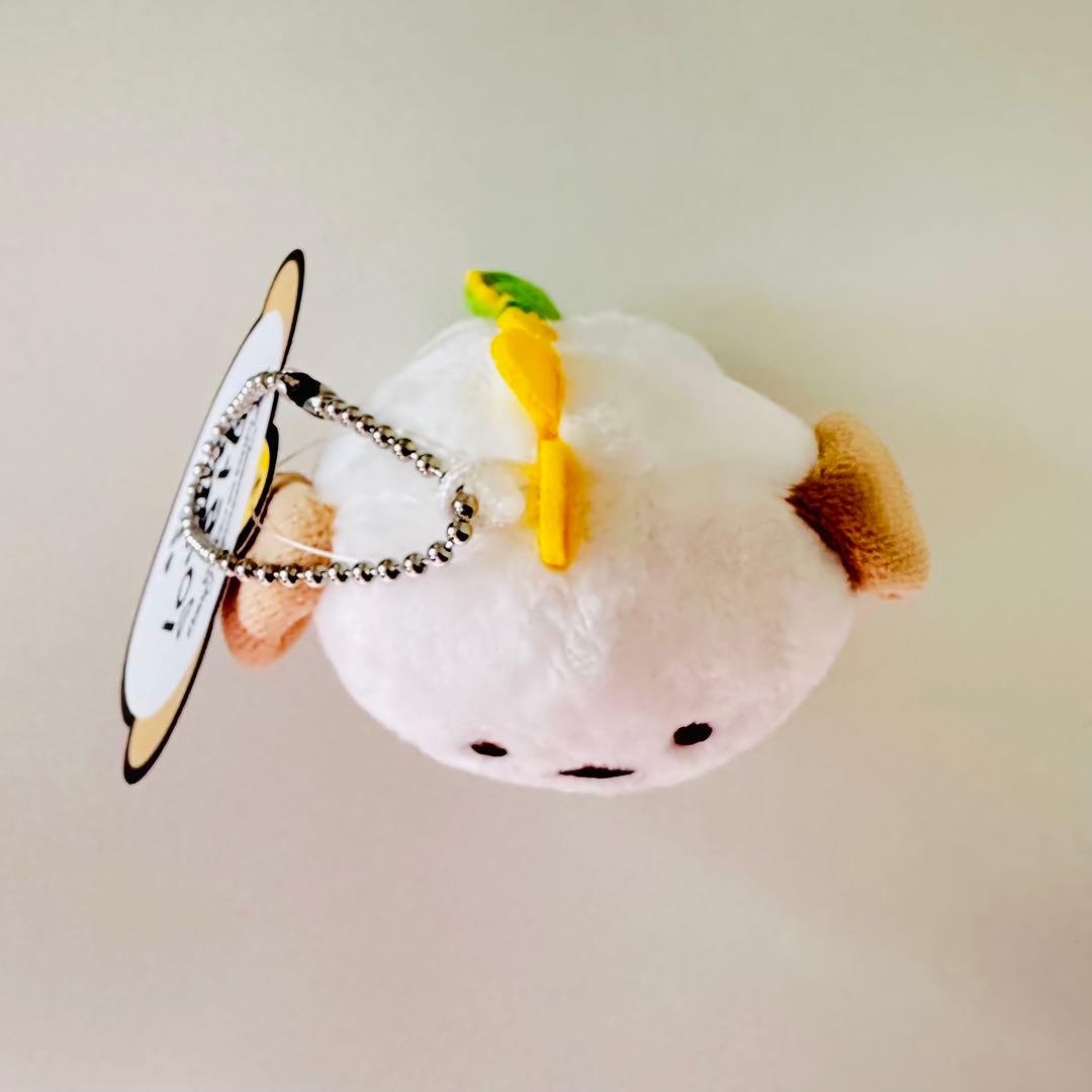 RIIZE ライズ 10cm ぬいぐるみ ドールキーリング アントン 公式 - メルカリ